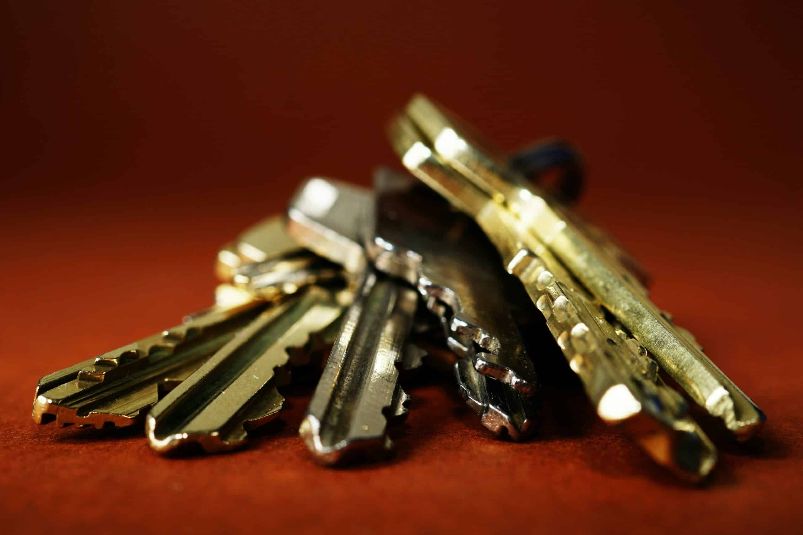 pexels-george-becker-333838