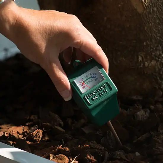 Plante-servicesering